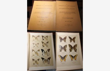 Die Artbildung und Verwandtschaft bei den Schmetterlingen. Eine systematische Darstellung der Abänderungen, Abarten und Arten der Segelfalter-ähnlichen Formen der Gattung Papilio. Tafeln 1 und 2